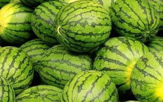 吃瓜网每日大赛入口murn,Murn带你领略精彩对决瞬间