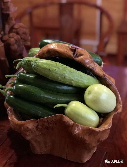 网红吃张露文的瓜