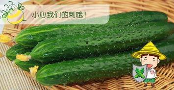 六点吃瓜网,揭秘娱乐圈最新热点，带你畅游八卦世界