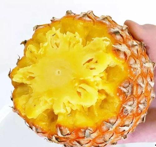 抖音网红菠萝酱吃瓜视频,揭秘娱乐圈幕后真相