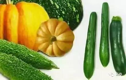 网红楠音吃瓜,揭秘娱乐圈幕后真相